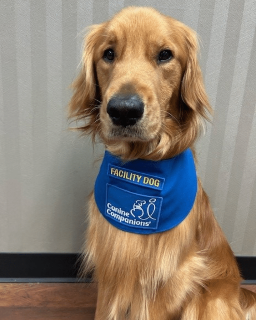 UAB Spain Rehabilitation Center’s first facility dog Topgun